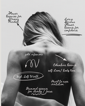 Load image into Gallery viewer, THE WYLDER 33 LIGHT BODY X MUSE & HEROINE LIMITED - EDITION