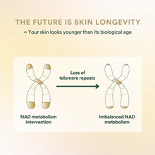 Laden Sie das Bild in den Galerie-Viewer, NEW Inner Beauty with H5-NADH™