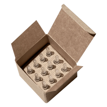 Load image into Gallery viewer, Longeva Epidermal Fasting Ampoules