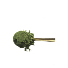 Carica l'immagine nel visualizzatore di Gallery, anima mundi muse & heroine natural skin care serum shop probiotic supplements for skin