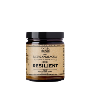 RESILIENT Powder | Adaptogens + Cacao