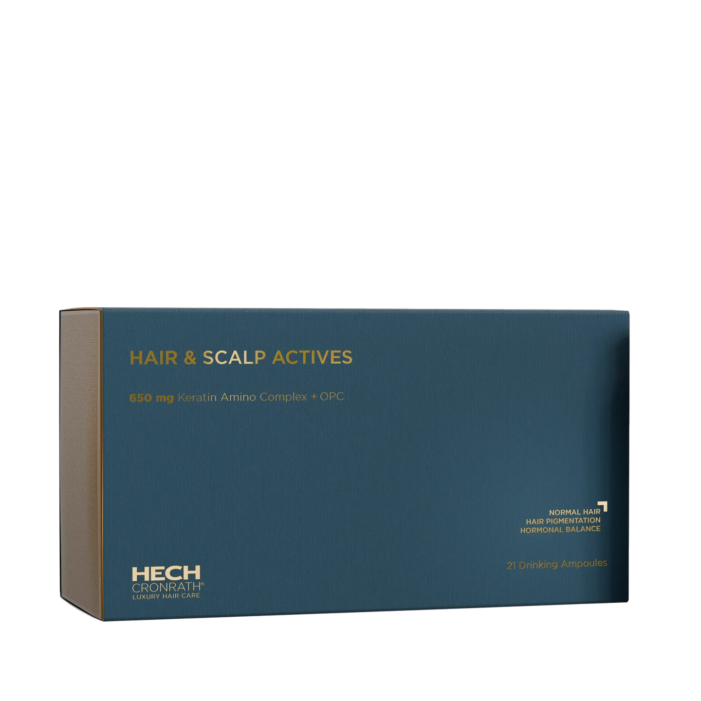 HECH® HAIR & SCALP ACTIVES – Muse & Heroine